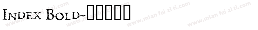 Index Bold字体转换
